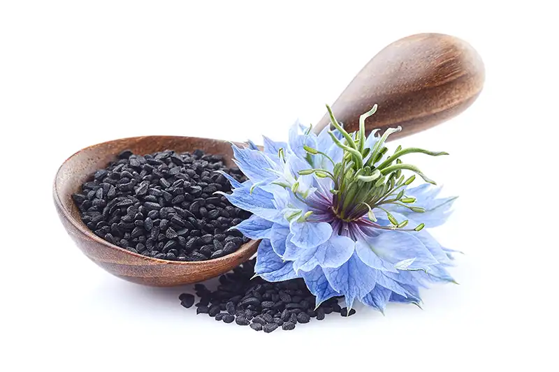Black Cumin