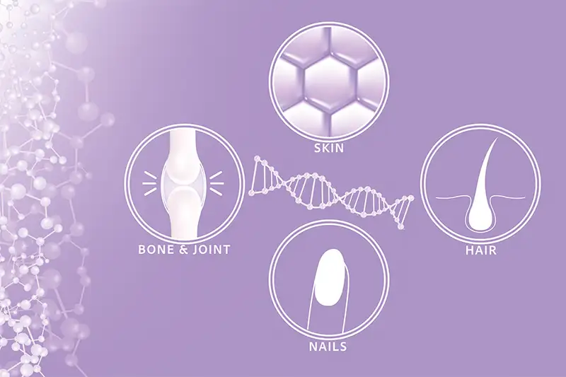 Nowacoll Multi Collagen