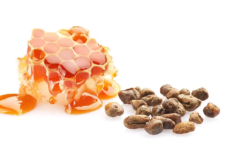 Propolis