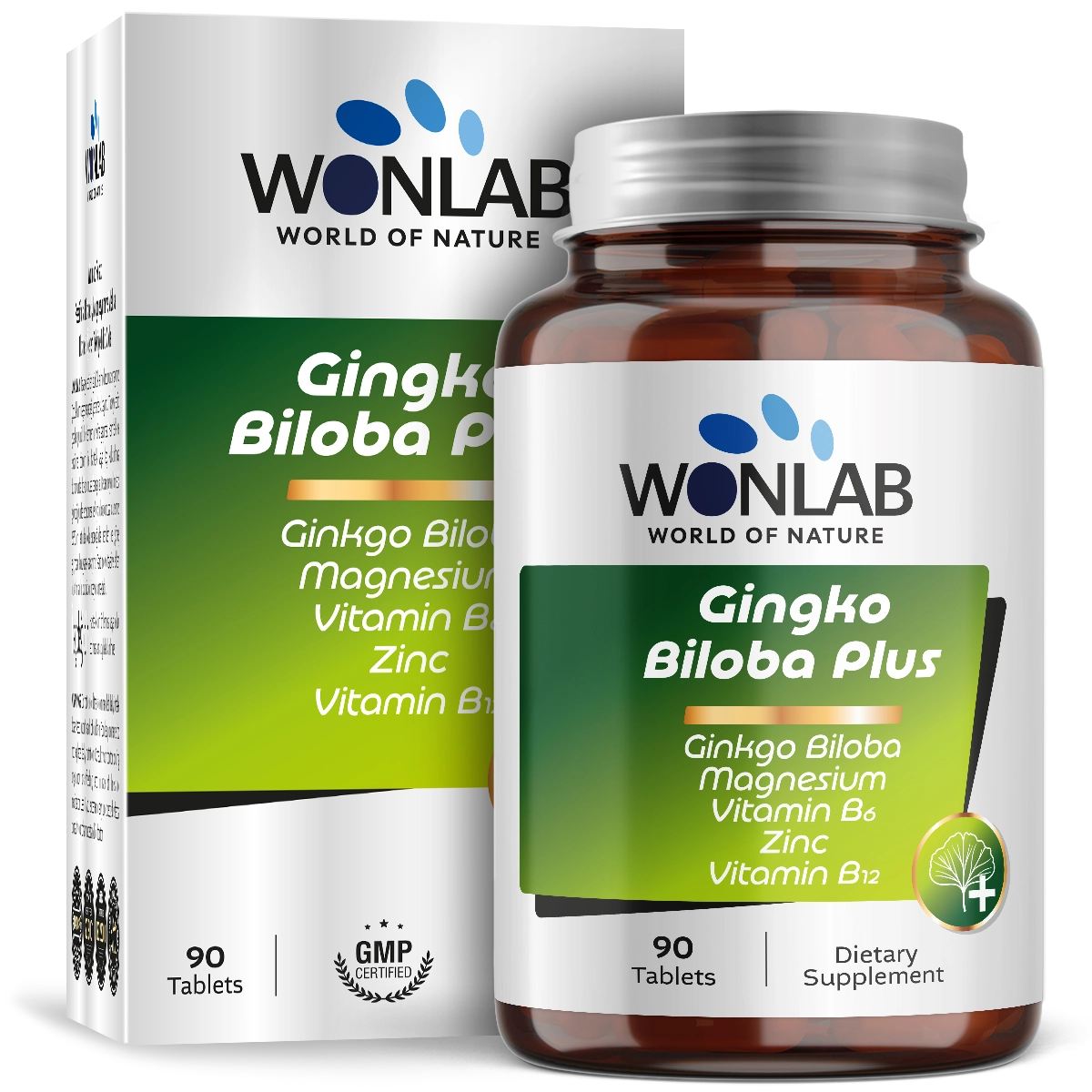 Gingko Biloba